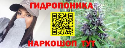 гидропоника Донской