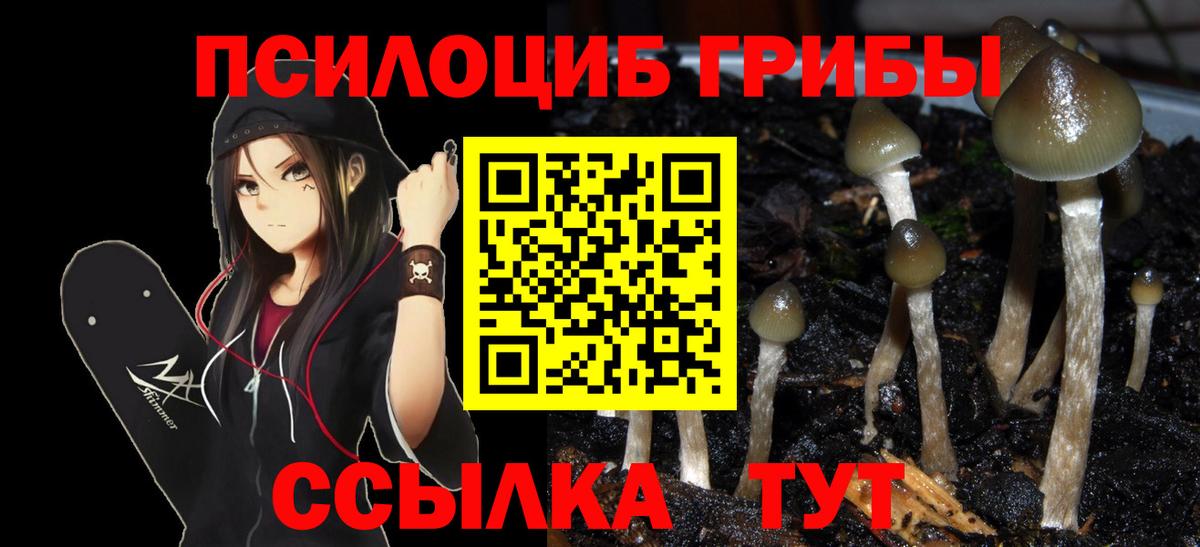 Галлюциногенные грибы Psilocybine cubensis  Галлюциногенные грибы MAGIC MUSHROOMS  Новосибирск  Вход с VPN 