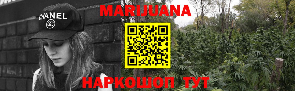 Новосибирск  Конопля Bruce Banner  Бошки марихуана Amnesia  Канабис сатива  Вход с VPN  Шишки марихуана планчик 